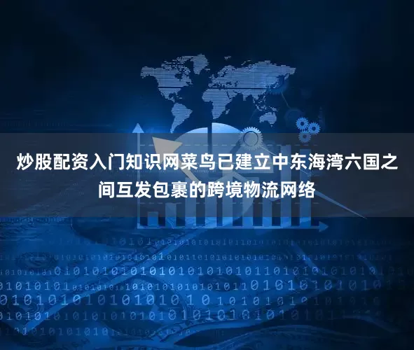 炒股配资入门知识网菜鸟已建立中东海湾六国之间互发包裹的跨境物流网络