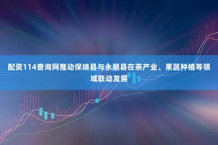 配资114查询网推动保靖县与永顺县在茶产业、果蔬种植等领域联动发展