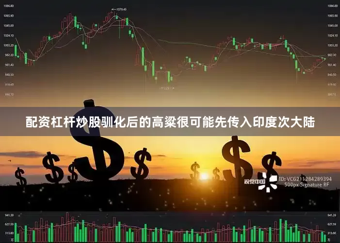 配资杠杆炒股驯化后的高粱很可能先传入印度次大陆