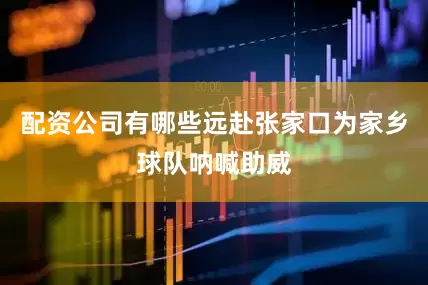 配资公司有哪些远赴张家口为家乡球队呐喊助威