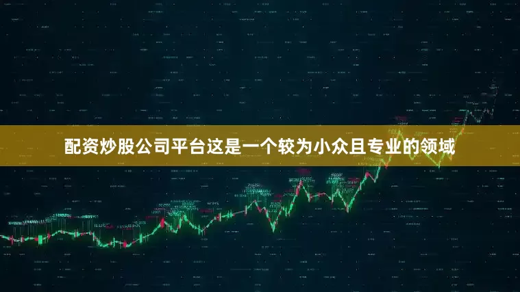 配资炒股公司平台这是一个较为小众且专业的领域