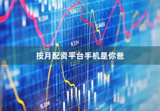 按月配资平台手机是你爸